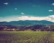 快速定位精准的ddos网页端源码