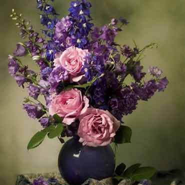 在线DDOS攻击平台